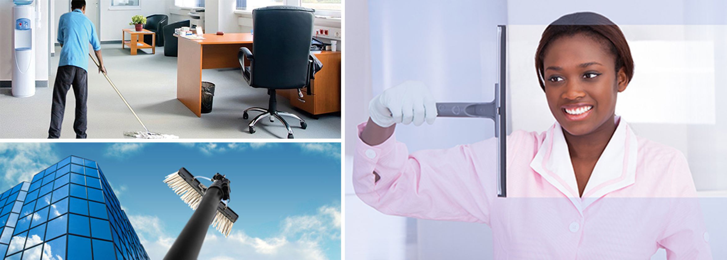 Services ANEHCI-LMO